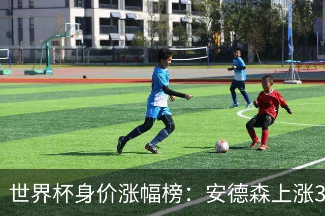 世界杯身价涨幅榜：安德森上涨3500万欧最多，贝林3000万欧次席