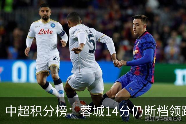 中超积分榜：蓉城14分仍断档领跑，降级区两队均获胜