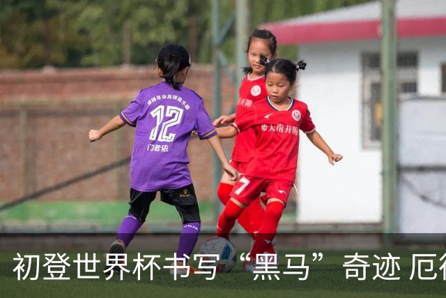 初登世界杯书写“黑马”奇迹 厄德高率挪威黄金一代启航